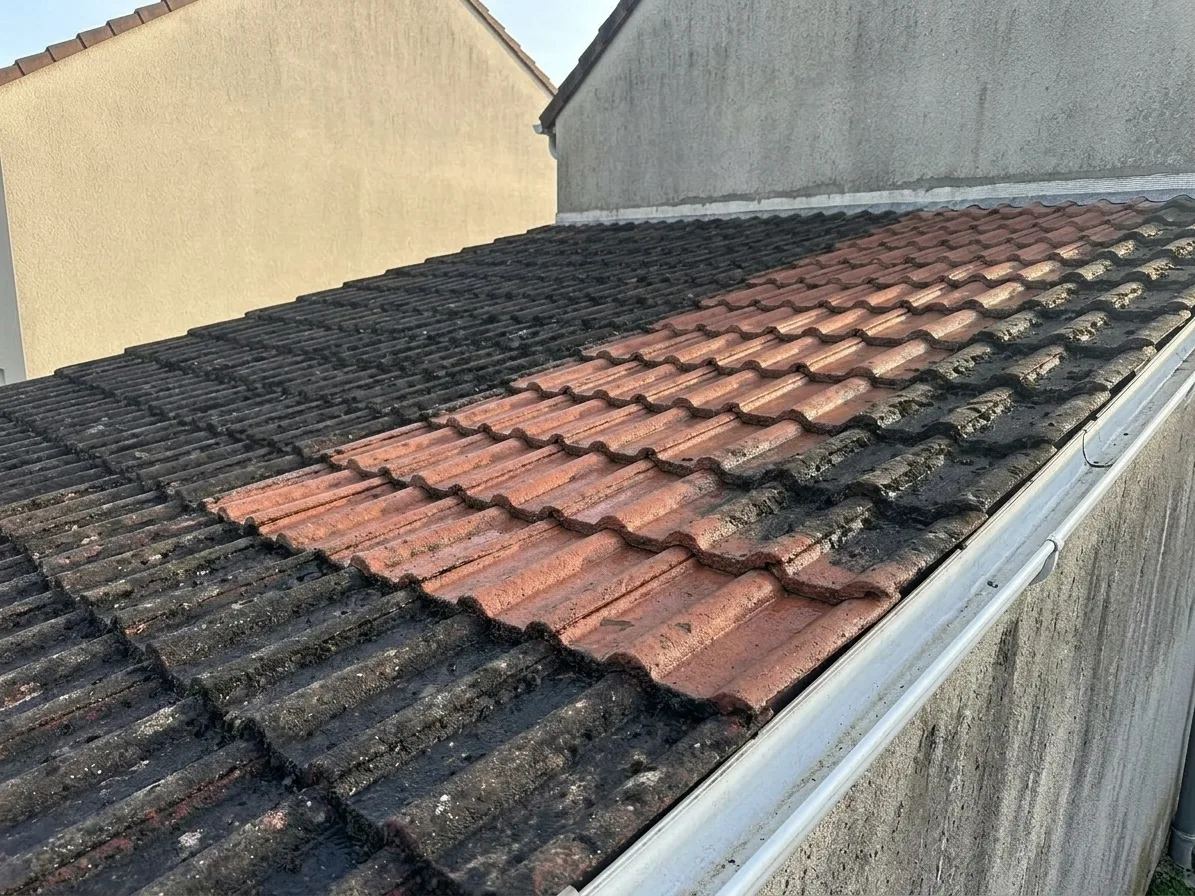 Démoussage de toiture à Melun
